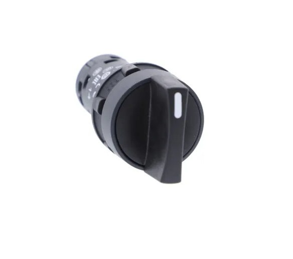 SELECTORA 2 POSICIONES 0-1 FIJA SCHNEIDER